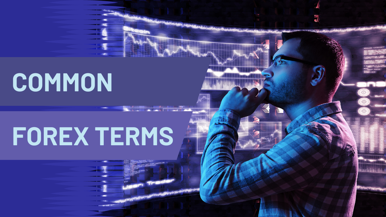 Common Terms in Forex: Spread, Pip, Lot size and Leverage