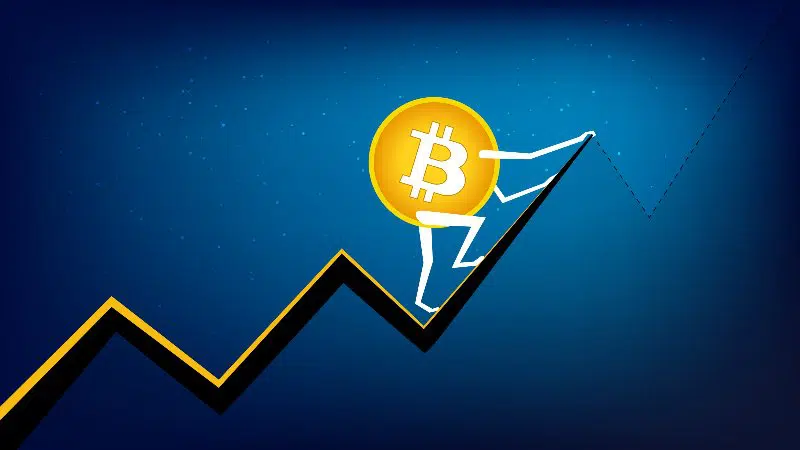 Find Out The Next All Time High Of BTC As Bitcoin’s Pre-Halving Cycle Seems Strong 2023