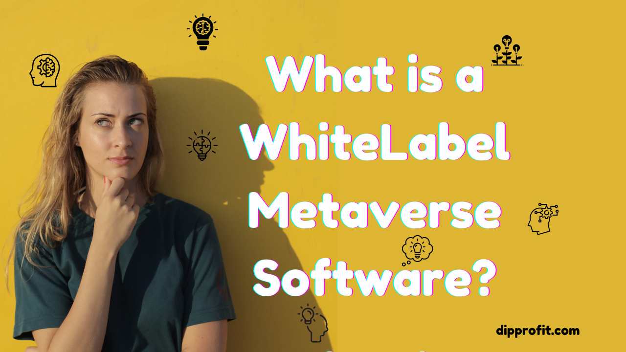 What is A Whitelabel Metaverse Software?